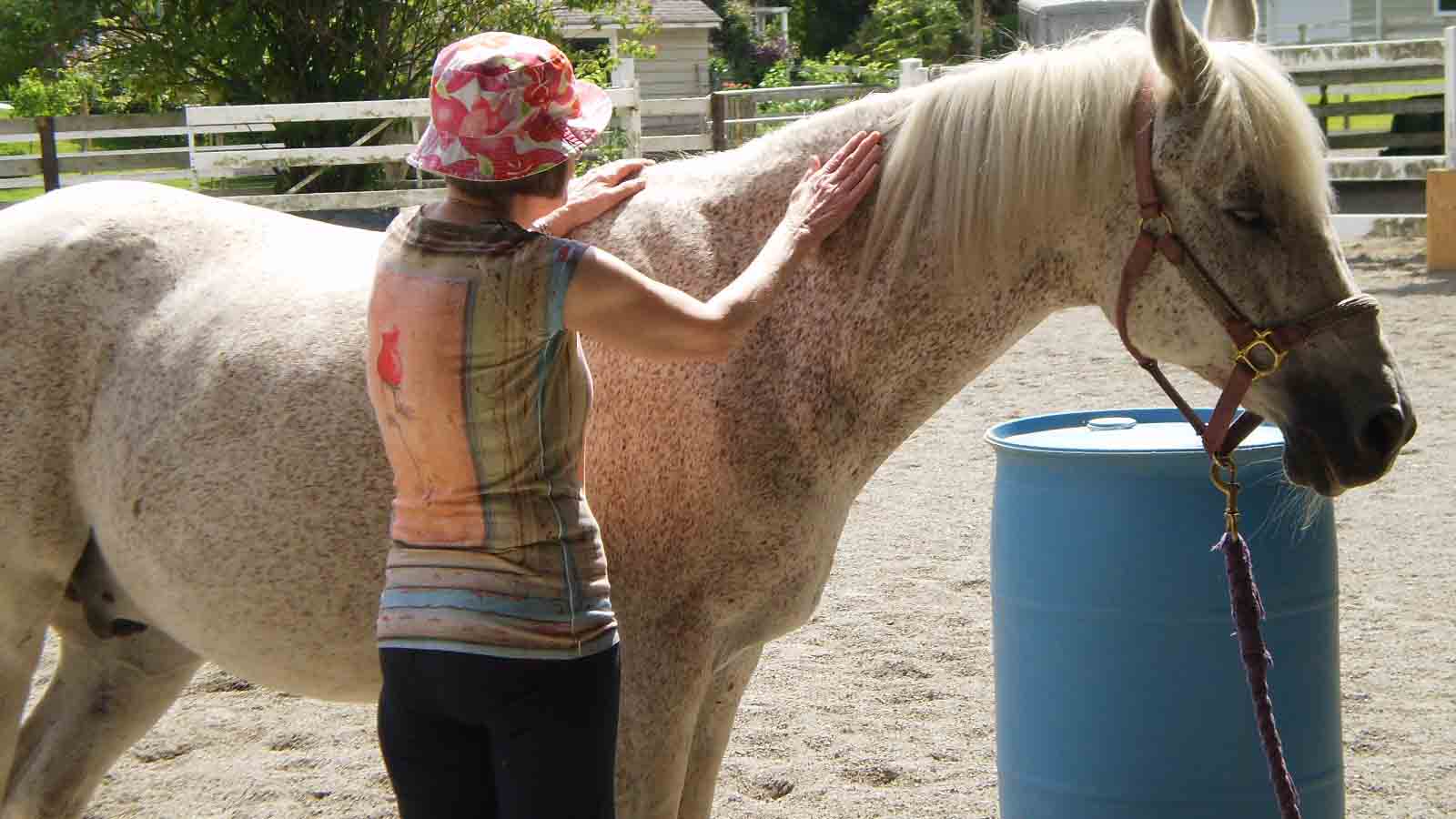 Hug a horse programs - client with horse