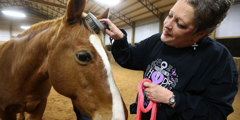 Breast cancer patients use horses for therapy