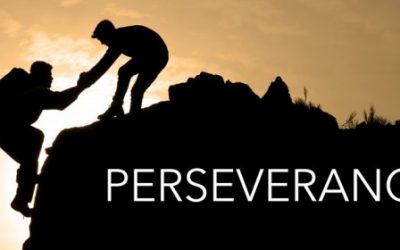 The Power of Perseverance: Developing Perseverance
