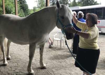 Hug a Horse seniors program - horse therapy for seniors in vancouver, BC