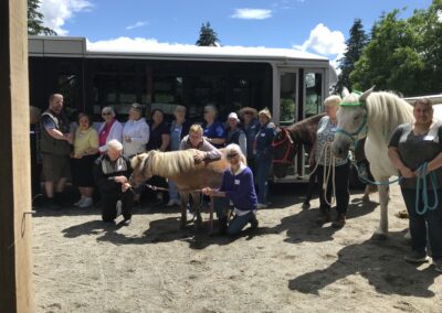 Horse therapy for seniors - Hug a Horse Seniors Program - Vancouver, BC